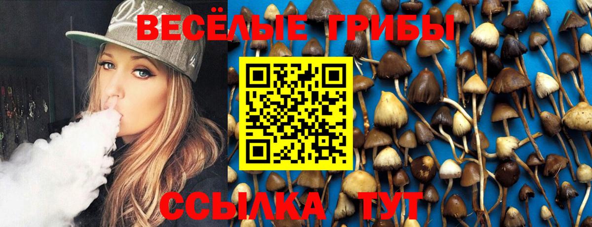 Галлюциногенные грибы прущие грибы  Галлюциногенные грибы мицелий  Новый Уренгой  Вход с VPN 